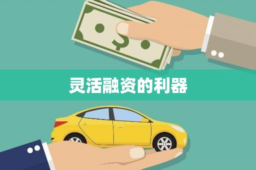 双柏灵活融资的利器
