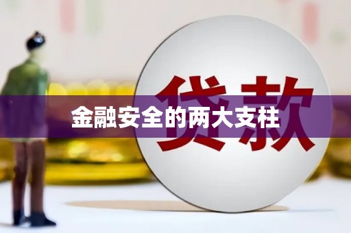 双柏金融安全的两大支柱