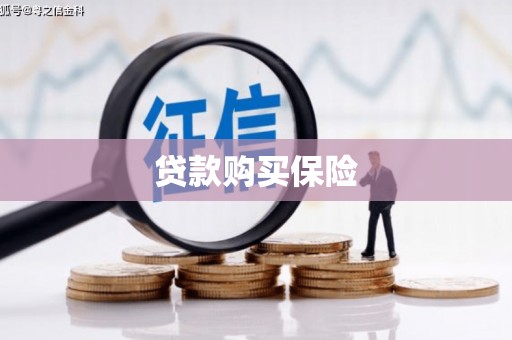 双柏贷款购买保险